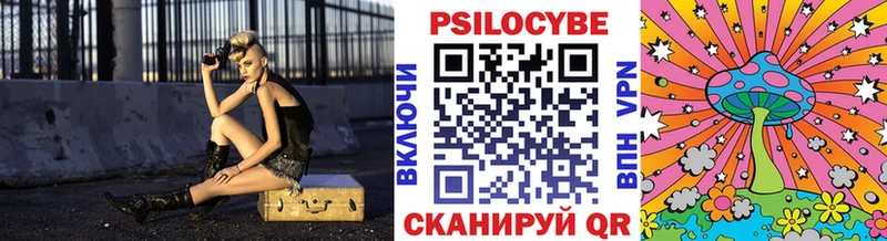 как найти наркотики  Высоковск  Галлюциногенные грибы прущие грибы 